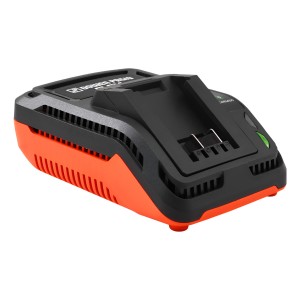 Cargador 21v 2.4a Flex One Dowen Pagio 9998160 Original