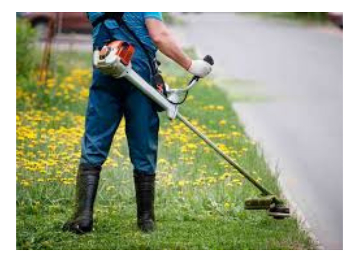 Desmalezadora A Nafta Roraima Pro 43cc Potente Y Eficaz - Imagen 5