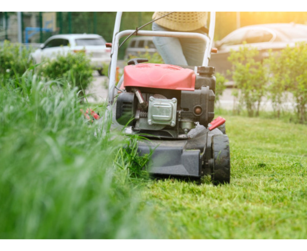 Cortadora De Césped Eléctrica Recolector 30l -1.200w Hyundai - Imagen 2