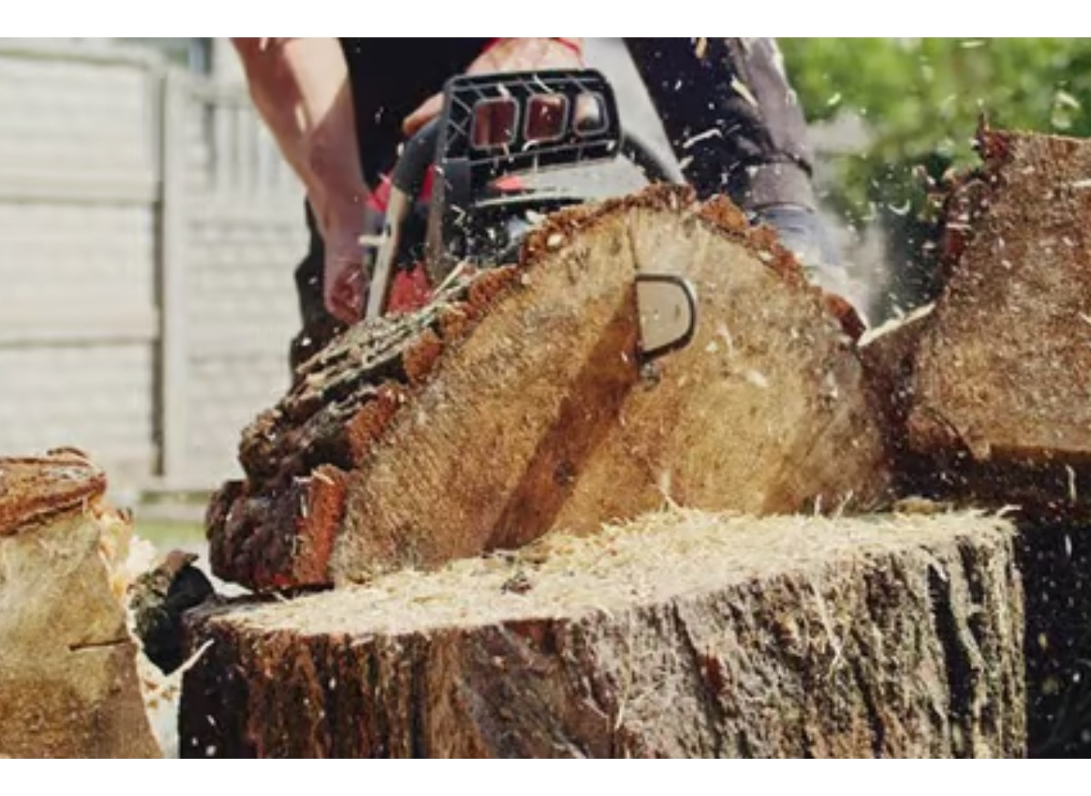 Motosierra 45cc 18 Turbo 450 Hyundai 1 Año De Garantía - Imagen 16