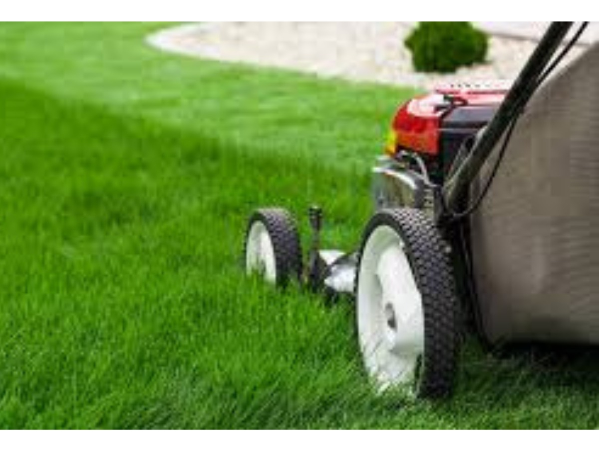 Cortadora De Césped Eléctrica Recolector 30l -1.200w Hyundai - Imagen 14