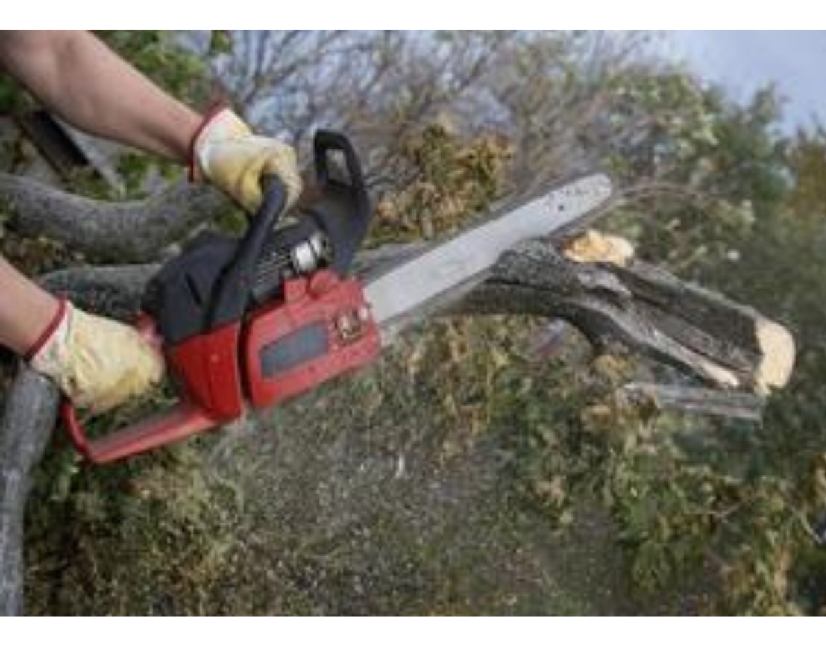 Motosierra Hyundai 45cc 18 Turbo 450 - 1 Año De Garantía - Imagen 10