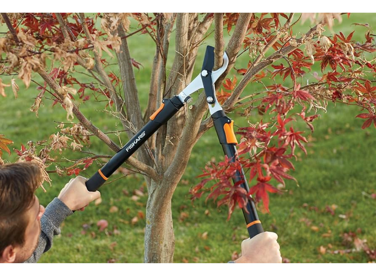 Tijera De Podar Tolsen Mango Telescópico Corte Curvo - Sc - - Imagen 2