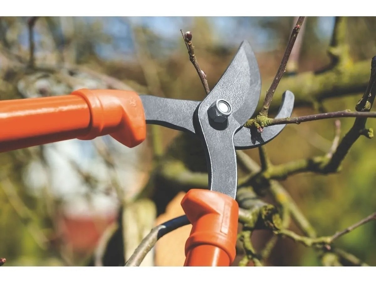 Tijera De Podar Bypass Tramontina Acero Mango Madera 60cm Sc - Imagen 4