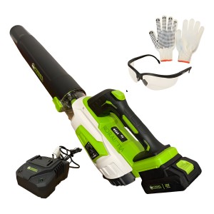 Soplador Inalámbrico 20v 2 Velocidades Con Batería F&g