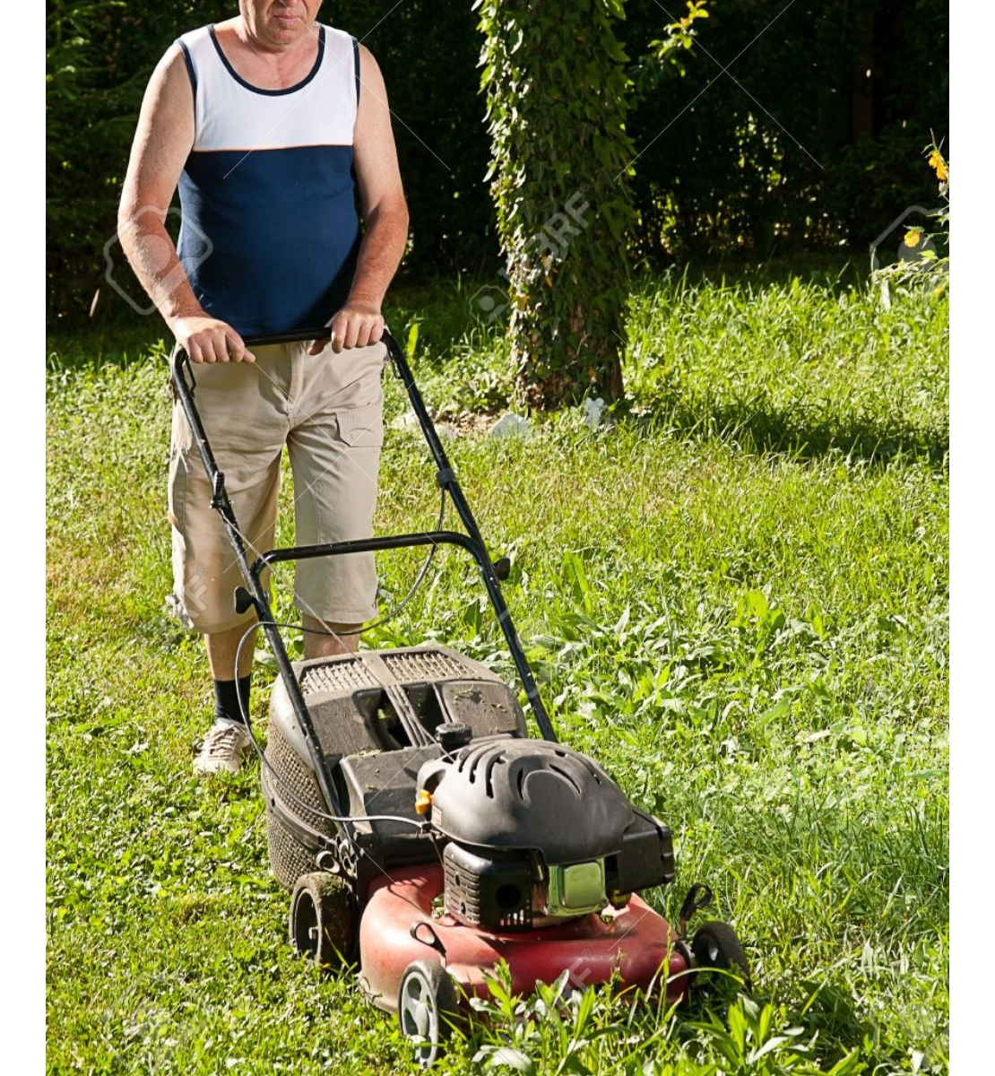 Cortadora De Césped Eléctrica Recolector 30l -1.200w Hyundai - Imagen 9