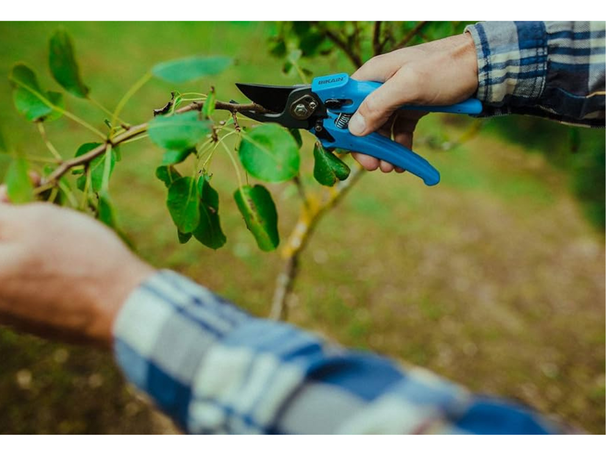 Tijera Multiuso Tolsen 180mm Hoja De Acero Inoxidable - Sc - - Imagen 2