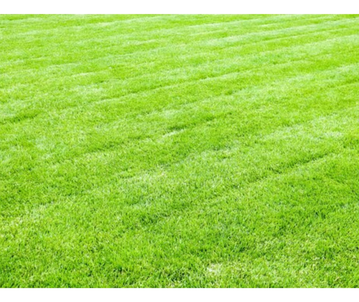 Cortadora De Césped Eléctrica Recolector 30l -1.200w Hyundai - Imagen 15