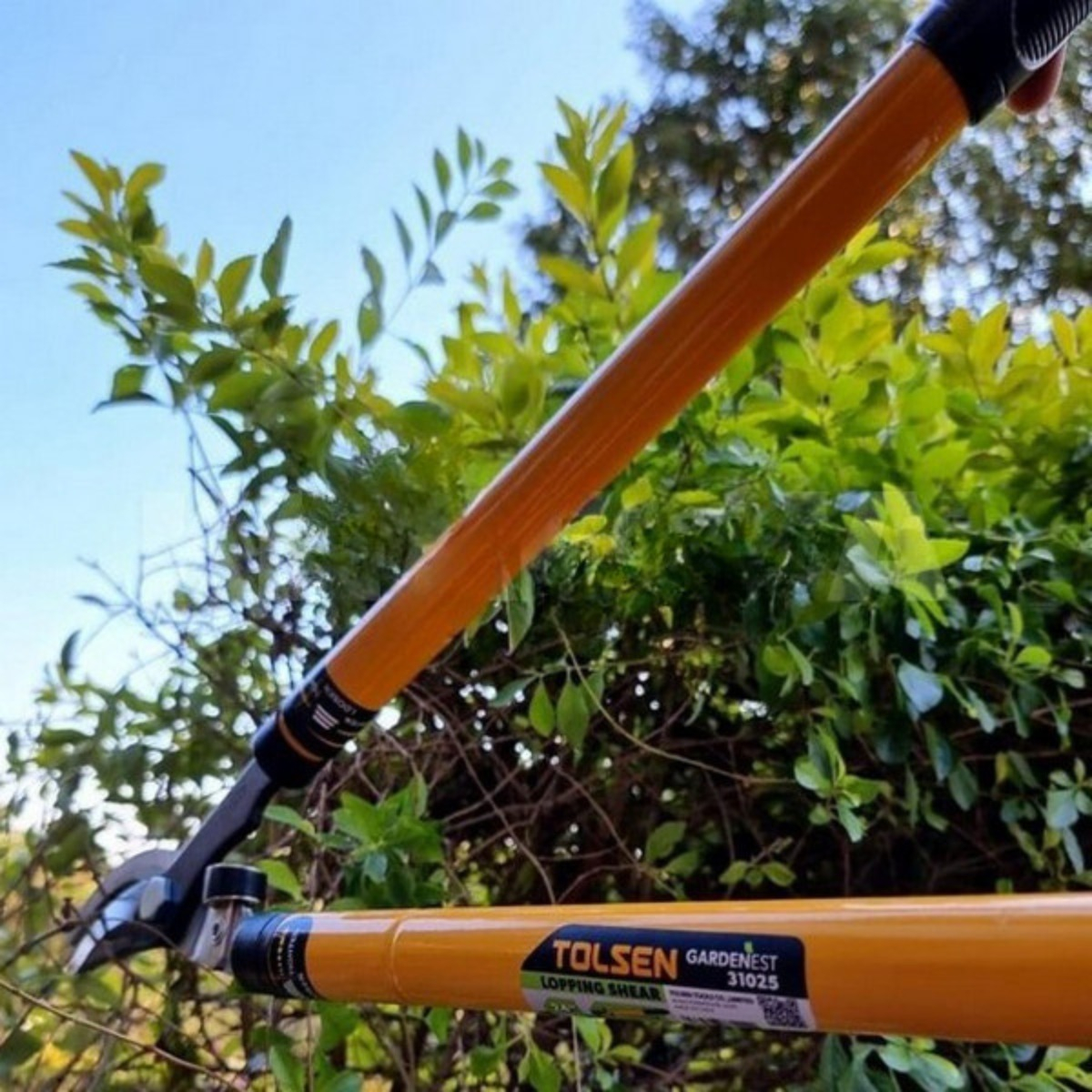 Tijera De Podar Tolsen Mango Telescópico Corte Curvo - Sc - - Imagen 3