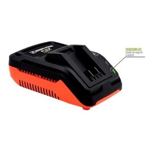Cargador Baterías Ion Litio Dowen Pagio Flex One 9998155 60w Rápido
