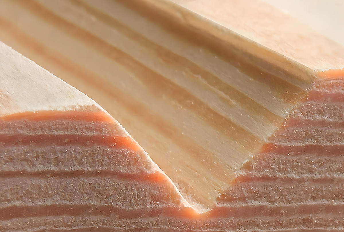 Pack 12 Fresas Total Para Router Fresadora - Vástago Encastre 6mm, Caja Madera - Tacsr0121 - Imagen 3