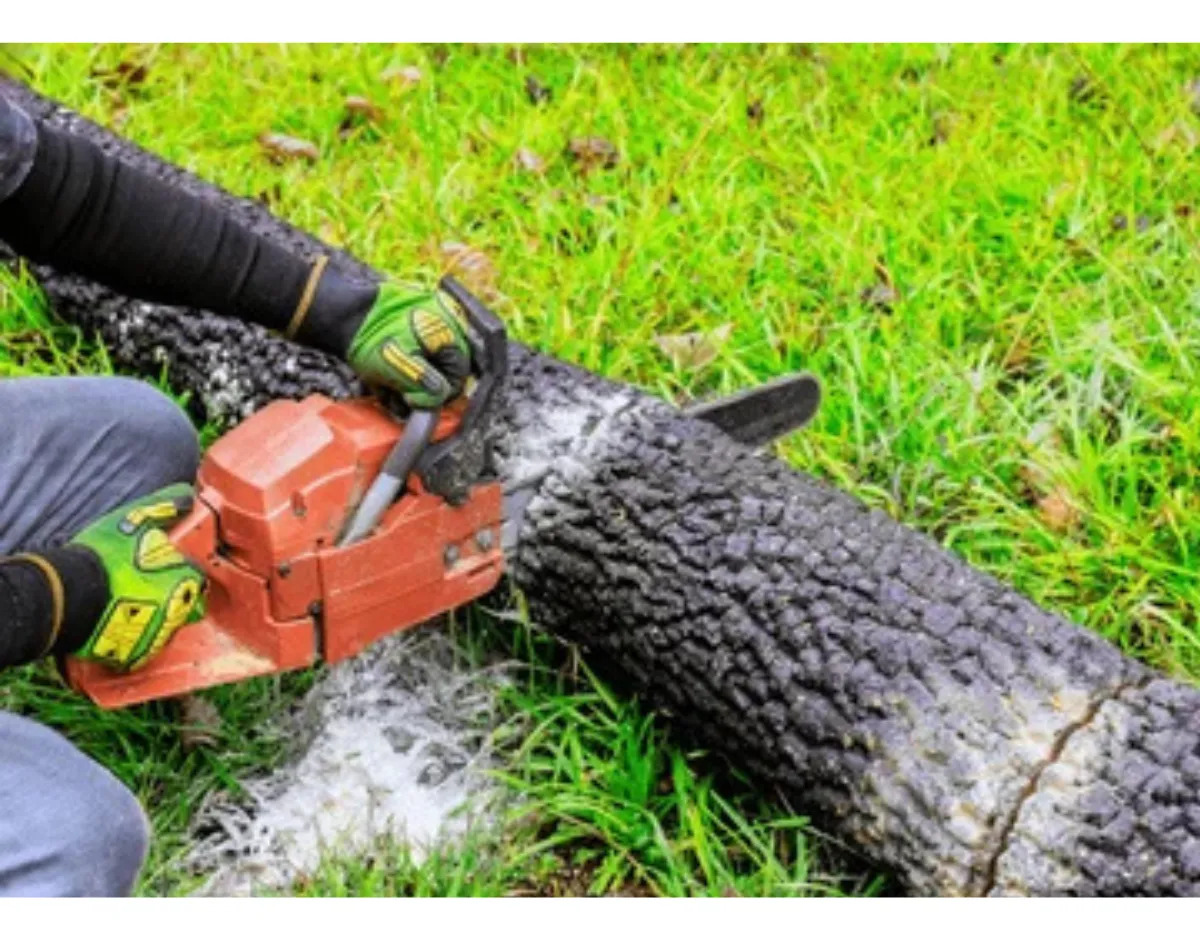 Motosierra A Gasolina 52cc Forest & Garden Mo758 - Imagen 4