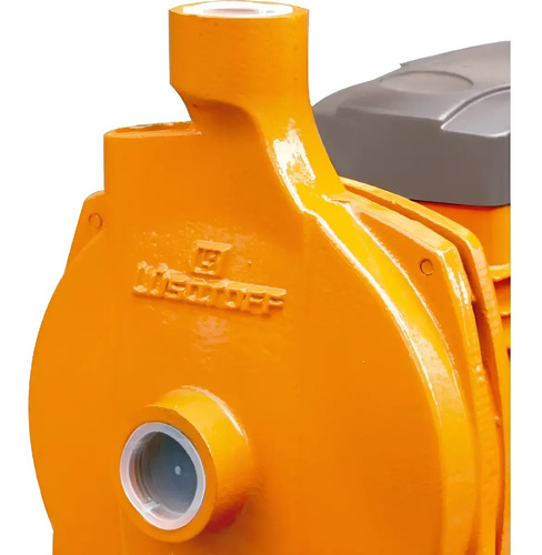 Bomba De Agua Centrífuga 3/4hp Electrobomba Lusqtoff Color Naranja Fase Eléctrica Monofásica Frecuencia 50 50 Hz - Imagen 9