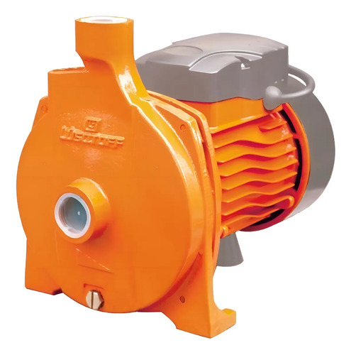 Bomba De Agua Centrífuga 1hp Electrobomba Lusqtoff Color Nar