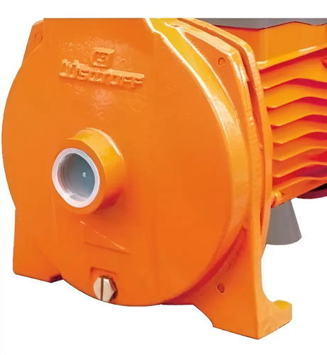 Bomba De Agua Centrífuga 1hp Electrobomba Lusqtoff Color Nar - Imagen 2