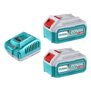 Set 20v Total, 2 Baterías Litio Ion 5.0ah + Cargador Rápido 4a - Línea P20s - Tfbcpk2513
