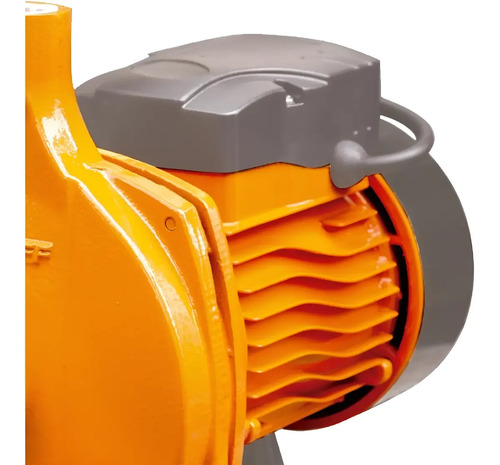 Bomba De Agua Centrífuga 3/4hp Electrobomba Lusqtoff Color Naranja Fase Eléctrica Monofásica Frecuencia 50 50 Hz - Imagen 8
