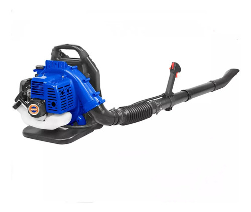 Soplador A Nafta 42.7cc - 1.25kw 7.000rpm Wyq1a42 Wadfow